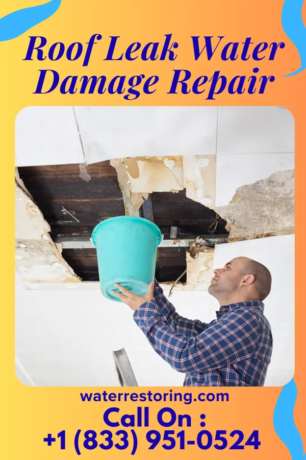 Roof Leak Water Damage Repair in Hutto, TX